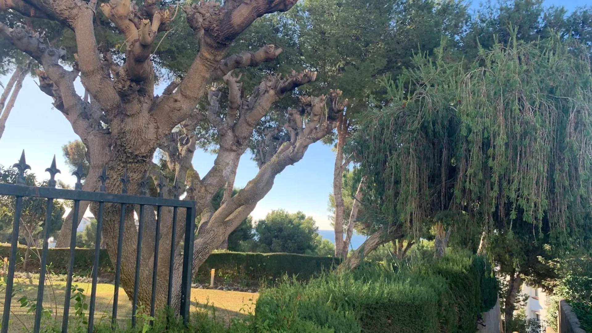Jardin Miraflores Apartment La Cala De Mijas Spain